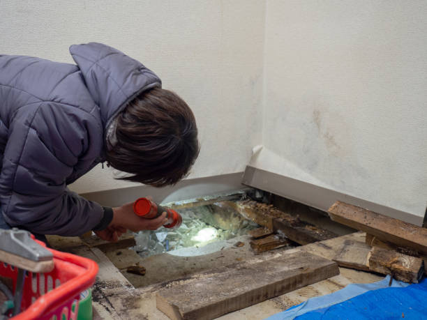 Best Crawl Space Mold Remediation  in Yorkville, NY