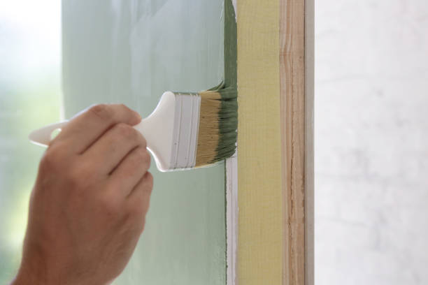 Best Basement Mold Removal  in Yorkville, NY