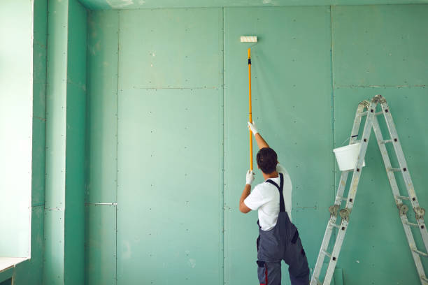 Best Industrial Mold Remediation  in Yorkville, NY