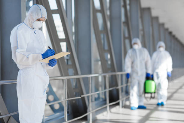 Best Basement Mold Removal  in Yorkville, NY