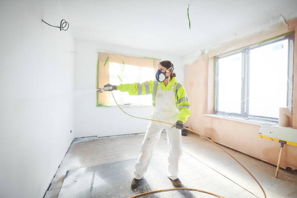Best Post-Construction Mold Inspection  in Yorkville, NY