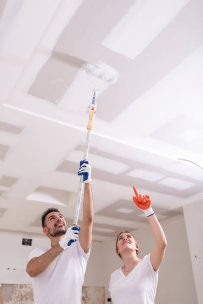 Best Water Damage & Mold Remediation  in Yorkville, NY