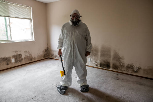 Best Comprehensive Air Testing for Mold Contaminants  in Yorkville, NY