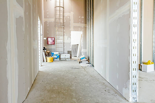 Mold Documentation for Insurance Claims in Yorkville, NY