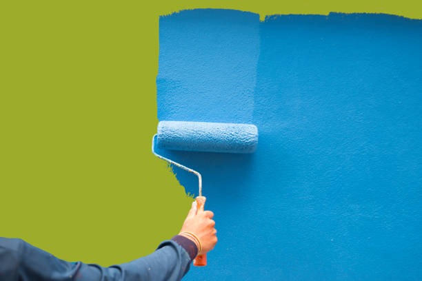 Best Forensic Mold Investigation  in Yorkville, NY